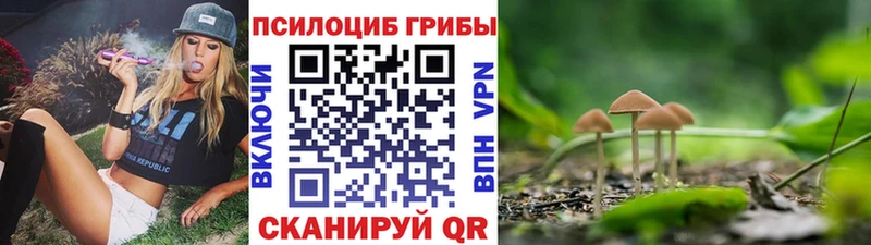 omg ТОР  как найти закладки  Асбест  Псилоцибиновые грибы Cubensis 